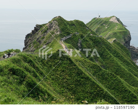 夏の神威岬 118597190