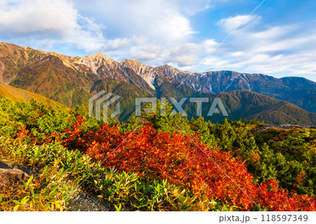 秋の唐松岳登山：白馬三山を望む 118597349