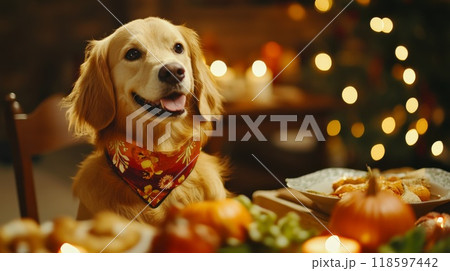 Golden Retriever Dog Wearing Bandana at Thanksgiving Dinner Table 118597442
