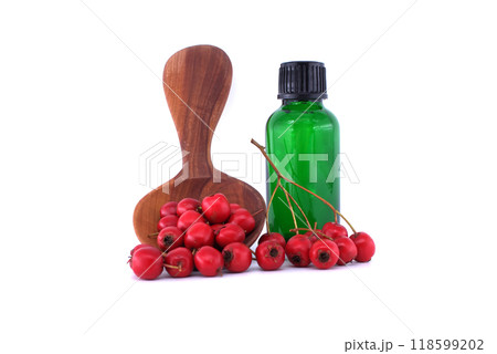 Hawthorn berries and essential oil bottle with wooden spoon isolated on white background Hawthorn berries and essential oil bottle with wooden spoon isolated on white background 118599202