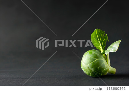 Cabbage isolated on black background with copy space 118600361