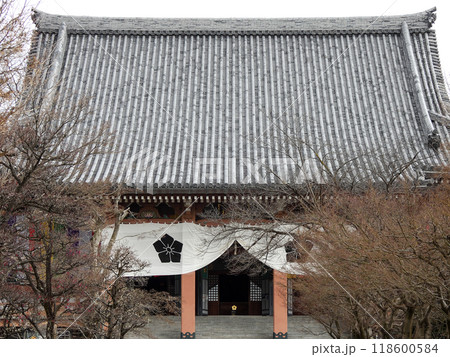 智積院　金堂 118600584