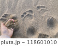 砂浜に残った足跡 118601010