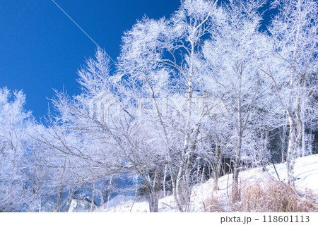 雪景色 雪景色 118601113