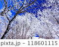 雪景色 118601115