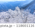 雪景色 118601116