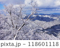 雪景色 118601118