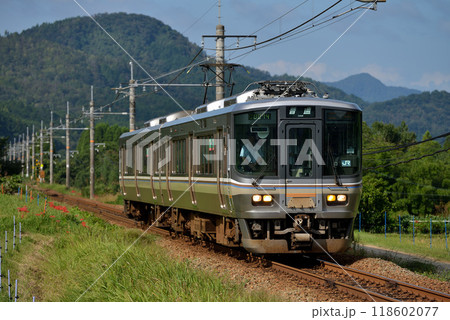 山陰本線を走る223系5500番台普通電車2両 118602077