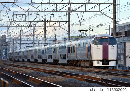 東海道線を走る215系湘南ライナー10両 118602093