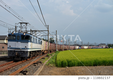 東北線を走るEF652095コンテナ貨物列車 118602137