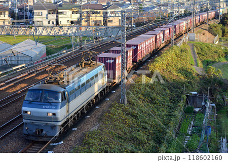 東海道線を走るEF66129コンテナ貨物列車 東海道線を走るEF66129コンテナ貨物列車 118602160