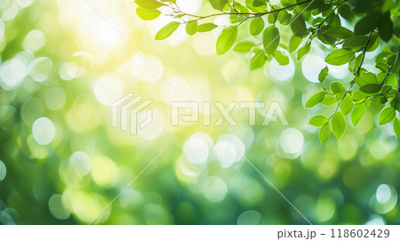 朝日を浴びる緑の葉と明るい色調のソフトフォーカスボケの背景 118602429