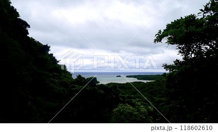 沖縄県八重山諸島西表島のゲータの滝から見える風景 118602610