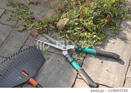 Garden rake, hedge clippers and cut leaves on stone slab in backyard. Garden and hedge maintenance. Nature and equipment. Garden rake, hedge clippers and cut leaves on stone slab in backyard. Garden and hedge maintenance. Nature and equipment. 118603556