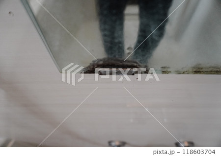 掃除前の汚いお風呂の鏡 Dirty bathroom mirror before cleaning 掃除前の汚いお風呂の鏡 Dirty bathroom mirror before cleaning 118603704
