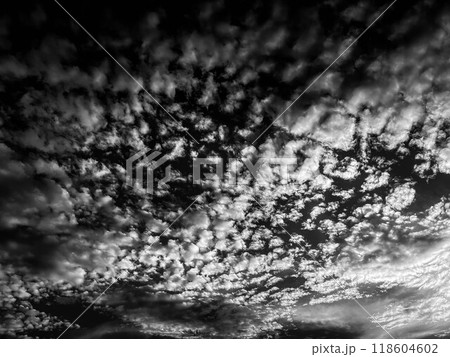 モノクロームの世界~秋空~ モノクロームの世界~秋空~ 118604602