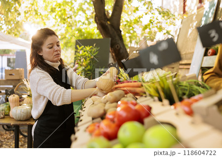 Female seller with an apron placing homegrown squash at farmers market stall booth. Young woman merchant examining locally grown fruits and vegetables on farm fair marketplace. 118604722