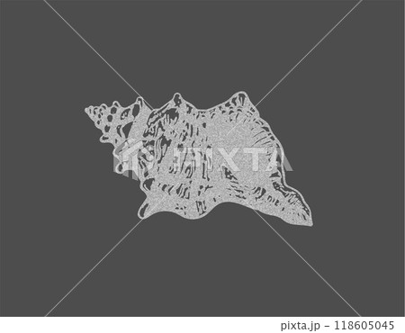 Grainy seashell retro negative photocopy effect, vector stipple dots texture, Y2K mollusk conch, marine spiral snail 118605045