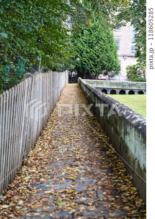 イギリス　チェスターの城壁 118605285