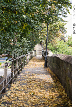 イギリス　チェスターの城壁 118605288