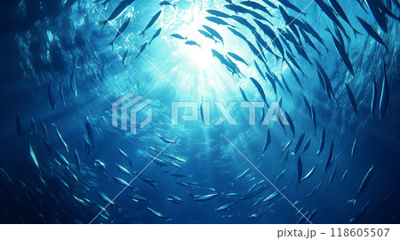 水中を泳ぐ魚群 118605507