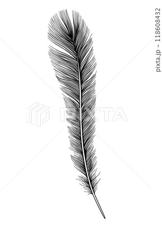 Feathers icon black silhouette hand drawn sketch 118608432