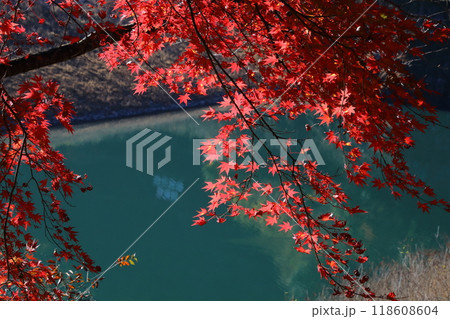 紅葉-名栗湖 118608604