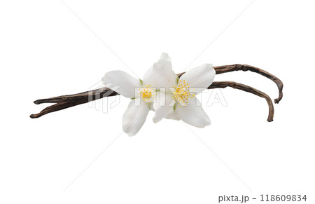 Vanilla stick with flower on white backgrounds. Photo Vanilla stick with flower on white backgrounds. Photo 118609834