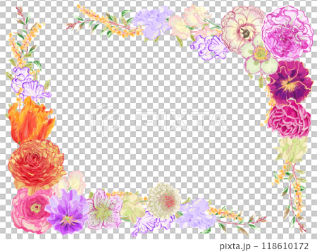 Ranunculus frame 118610172