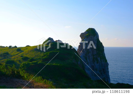 黒崎半島にある壱岐島のシンボル「猿岩」 黒崎半島にある壱岐島のシンボル「猿岩」 118611198