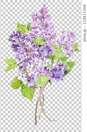 Bouquet of lilac, purple and lilac spring watercolor flowers. Illustration for greeting cards with the image of Mother's Day, Women's Day, wedding in Provence style. 118611569