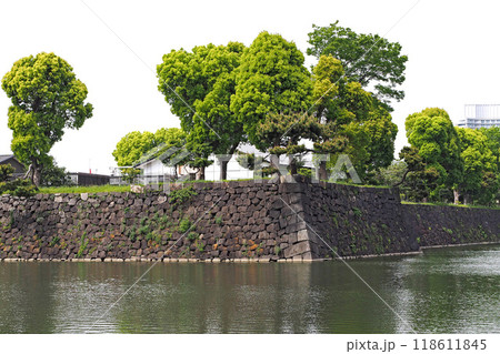皇居外苑の日比谷濠【東京都千代田区】 皇居外苑の日比谷濠【東京都千代田区】 118611845