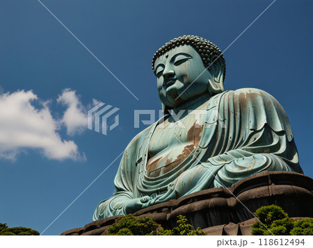 夏の青空と大仏 118612494