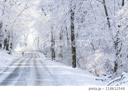 Winter landscape with snow-covered trees and road 118612548