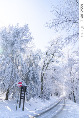Winter landscape with snow-covered trees and road Winter landscape with snow-covered trees and road 118612559