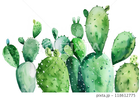 かわいいサボテンのバニーカクタス かわいいサボテンのバニーカクタス 118612775