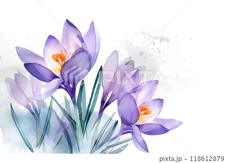 美しいクロッカスの花 美しいクロッカスの花 118612879
