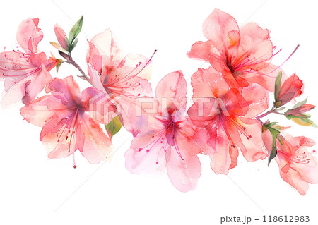 美しいツツジの花 118612983