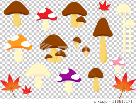 Mushroom illustration set 118613171