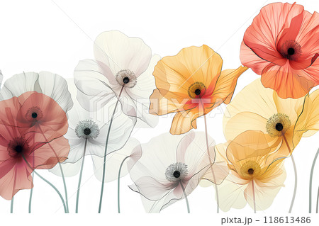 美しくし咲き誇るポピーの花 118613486