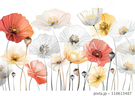 美しくし咲き誇るポピーの花 美しくし咲き誇るポピーの花 118613487