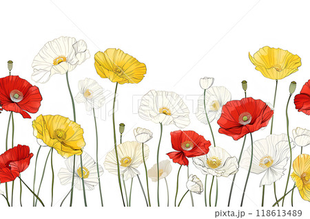 美しくし咲き誇るポピーの花 118613489