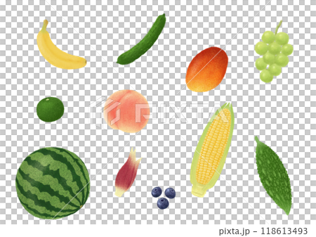 夏季食物手繪插圖 118613493
