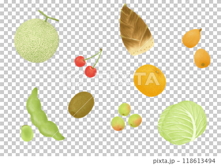 春天的食物手繪插畫 118613494