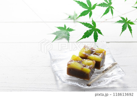 ガラスのお皿にのせた 羊羹 ( 栗蒸し羊羹 ) ガラスのお皿にのせた 羊羹 ( 栗蒸し羊羹 ) 118613692