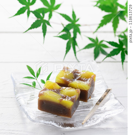 ガラスのお皿にのせた 羊羹 （ 栗蒸し羊羹 ） 118613729
