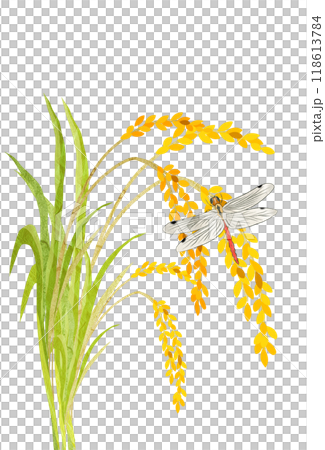 稻穗紅蜻蜓秋稻田剪紙插畫 118613784