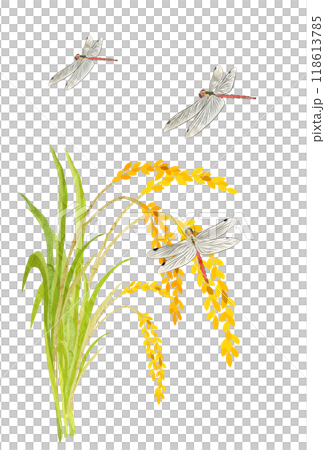 こうべを垂れる稲穂と赤とんぼ今年も豊作稲穂の切り絵イラスト こうべを垂れる稲穂と赤とんぼ今年も豊作稲穂の切り絵イラスト 118613785