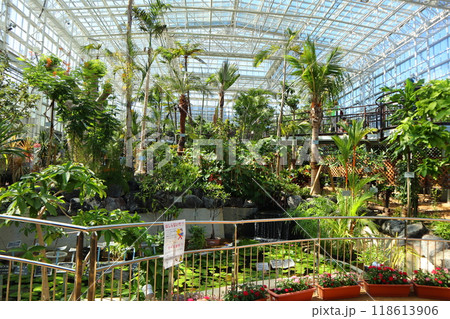 広島市植物公園 広島市植物公園 118613906
