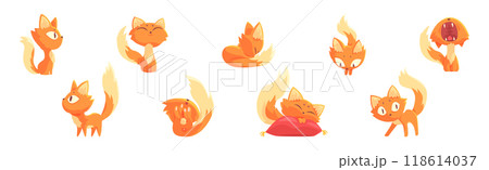 Funny Cat Character Tame Pet with Tail and Cute Snout Vector Set Funny Cat Character Tame Pet with Tail and Cute Snout Vector Set 118614037